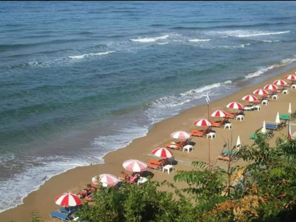 Harmony Corfu Apartments & Studios المظهر الخارجي الصورة