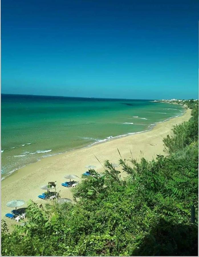 Harmony Corfu Apartments & Studios المظهر الخارجي الصورة