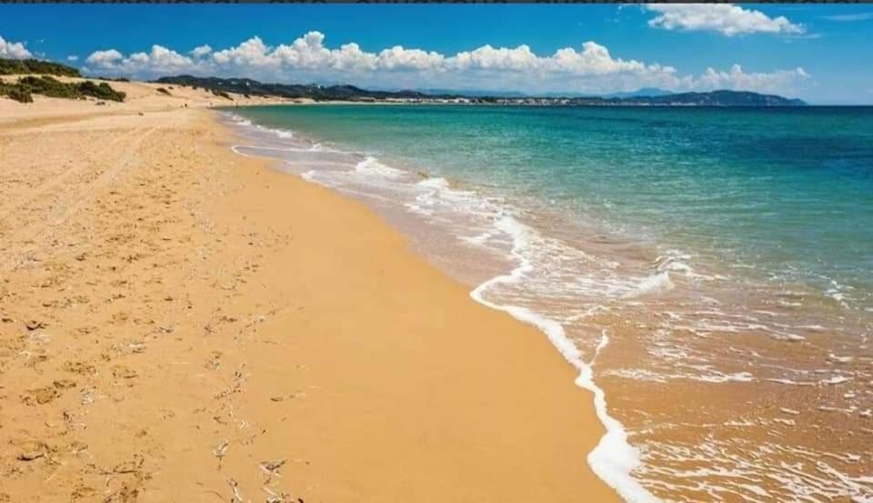 Harmony Corfu Apartments & Studios المظهر الخارجي الصورة
