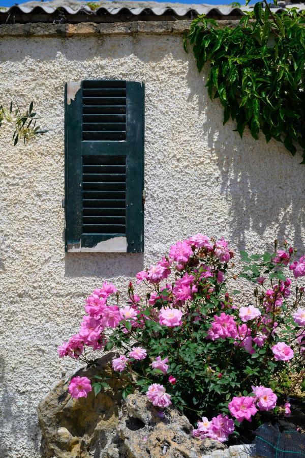 Harmony Corfu Apartments & Studios المظهر الخارجي الصورة