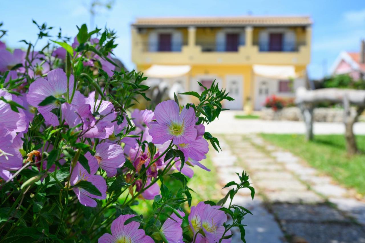 Harmony Corfu Apartments & Studios المظهر الخارجي الصورة