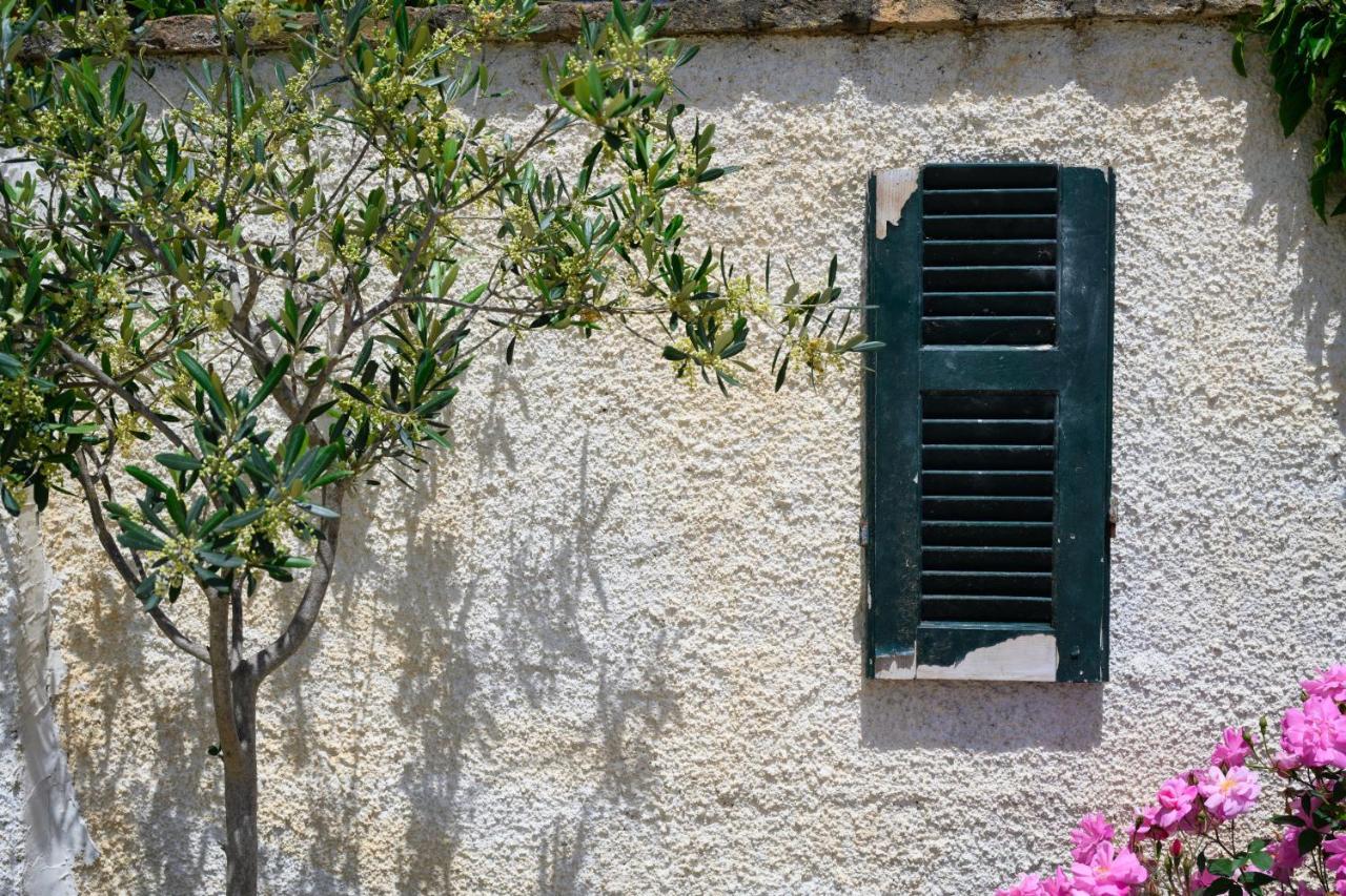 Harmony Corfu Apartments & Studios المظهر الخارجي الصورة