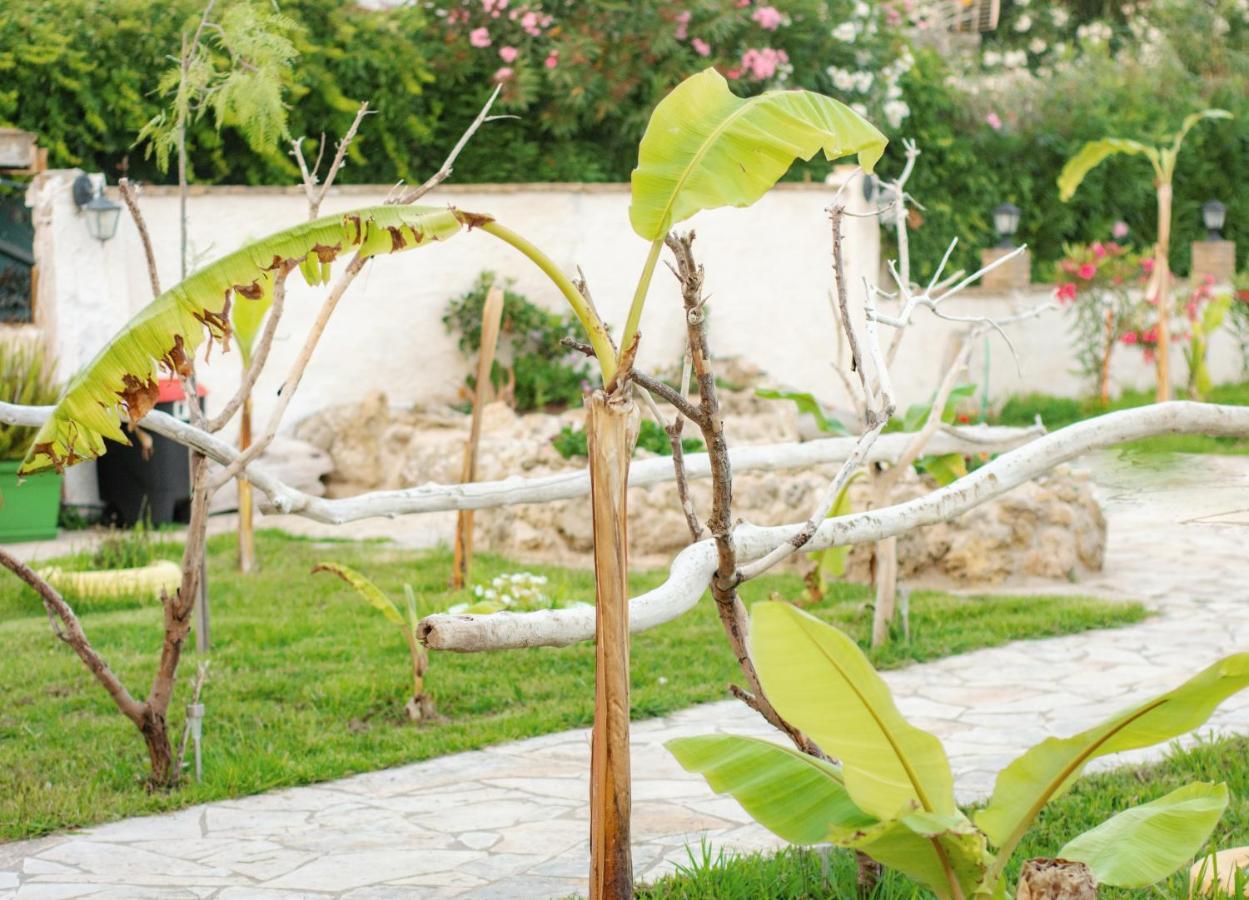 Harmony Corfu Apartments & Studios المظهر الخارجي الصورة